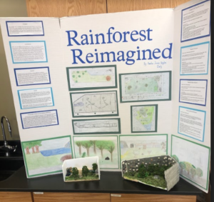 Rainforest Reimagined student project