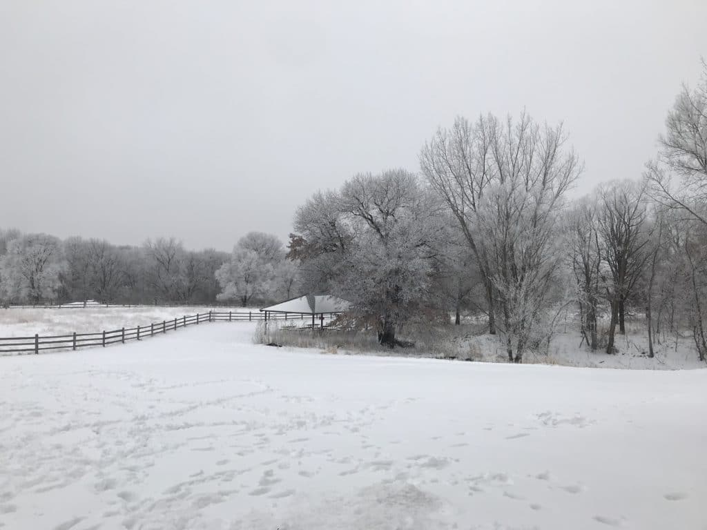 Snow covered land of DaVinci Academy