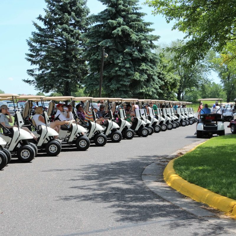 Line up of carts